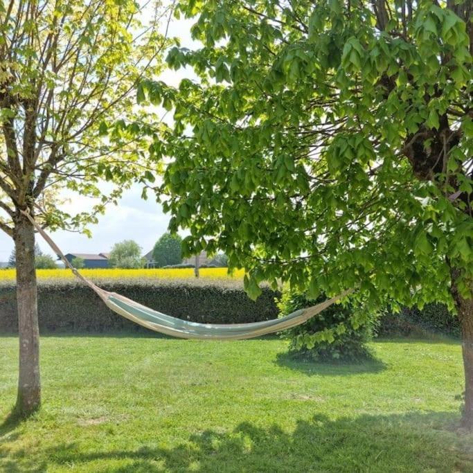 Grande Maison De Plain Pied Avec Jardin Arbore. Champignelles 외부 사진